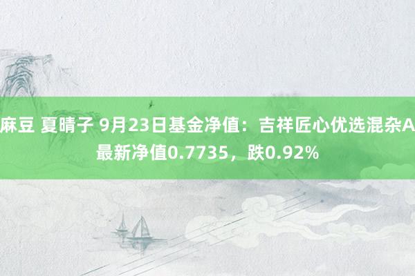 麻豆 夏晴子 9月23日基金净值：吉祥匠心优选混杂A最新净值0.7735，跌0.92%