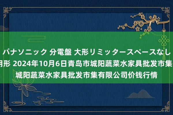 パナソニック 分電盤 大形リミッタースペースなし 露出・半埋込両用形 2024年10月6日青岛市城阳蔬菜水家具批发市集有限公司价钱行情