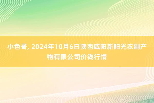 小色哥, 2024年10月6日陕西咸阳新阳光农副产物有限公司价钱行情
