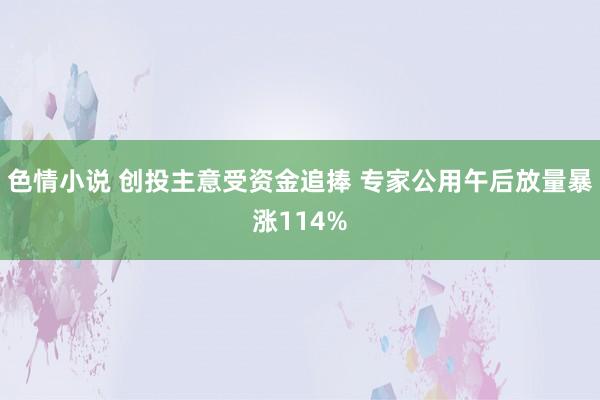 色情小说 创投主意受资金追捧 专家公用午后放量暴涨114%