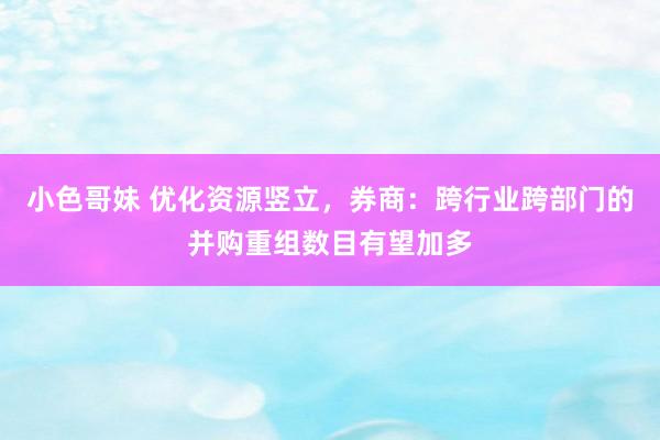 小色哥妹 优化资源竖立，券商：跨行业跨部门的并购重组数目有望加多