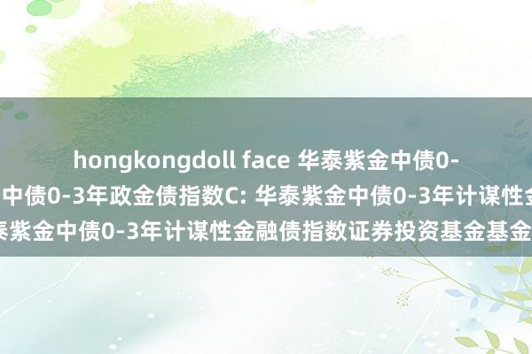 hongkongdoll face 华泰紫金中债0-3年政金债指数A,华泰紫金中债0-3年政金债指数C: 华泰紫金中债0-3年计谋性金融债指数证券投资基金基金合同