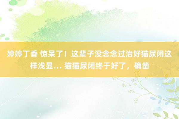 婷婷丁香 惊呆了!这辈子没念念过治好猫尿闭这样浅显… 猫猫尿闭终于好了,确凿
