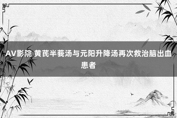 AV影院 黄芪半莪汤与元阳升降汤再次救治脑出血患者