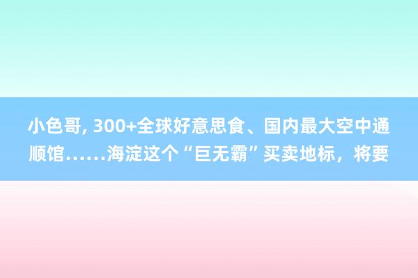 小色哥， 300+全球好意思食、国内最大空中通顺馆……海淀这个“巨无霸”买卖地标，将要