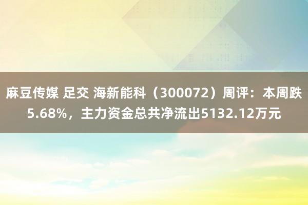 麻豆传媒 足交 海新能科（300072）周评：本周跌5.68%，主力资金总共净流出5132.12万元