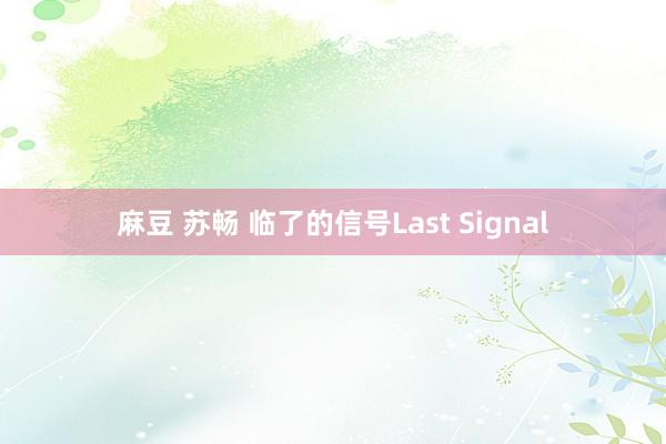 麻豆 苏畅 临了的信号Last Signal