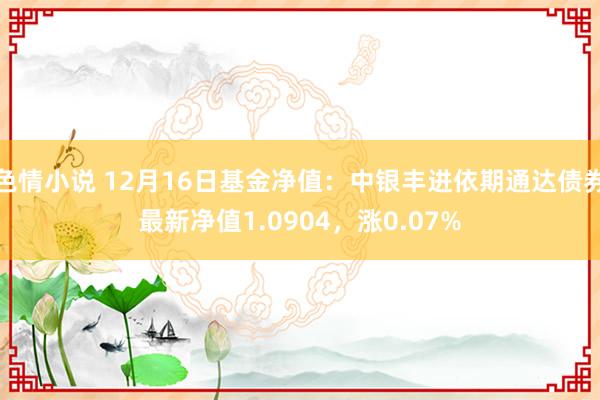 色情小说 12月16日基金净值：中银丰进依期通达债券最新净值1.0904，涨0.07%