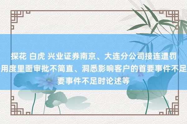 探花 白虎 兴业证券南京、大连分公司接连遭罚！涉业务用度里面审批不简直、洞悉影响客户的首要事件不足时论述等