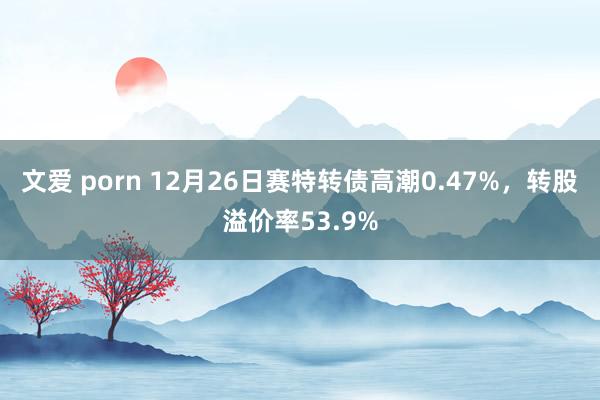 文爱 porn 12月26日赛特转债高潮0.47%，转股溢价率53.9%