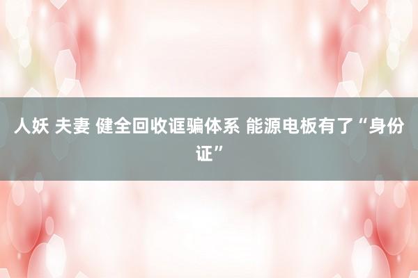人妖 夫妻 健全回收诓骗体系 能源电板有了“身份证”