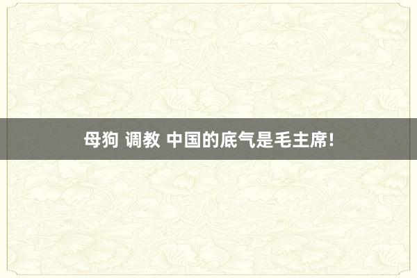 母狗 调教 中国的底气是毛主席!