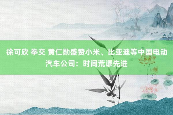 徐可欣 拳交 黄仁勋盛赞小米、比亚迪等中国电动汽车公司：时间荒谬先进
