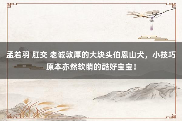 孟若羽 肛交 老诚敦厚的大块头伯恩山犬，小技巧原本亦然软萌的酷好宝宝！