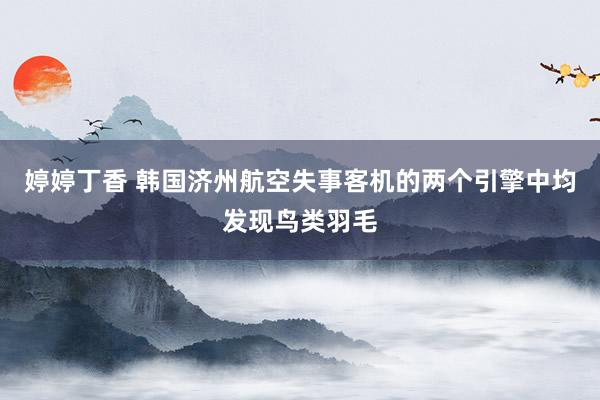 婷婷丁香 韩国济州航空失事客机的两个引擎中均发现鸟类羽毛