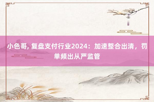 小色哥， 复盘支付行业2024：加速整合出清，罚单频出从严监管