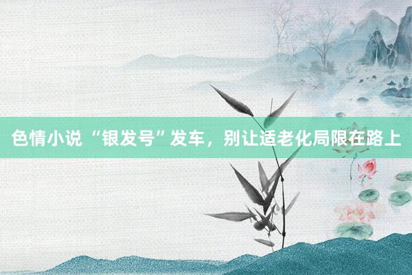 色情小说 “银发号”发车，别让适老化局限在路上