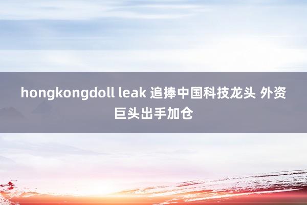 hongkongdoll leak 追捧中国科技龙头 外资巨头出手加仓