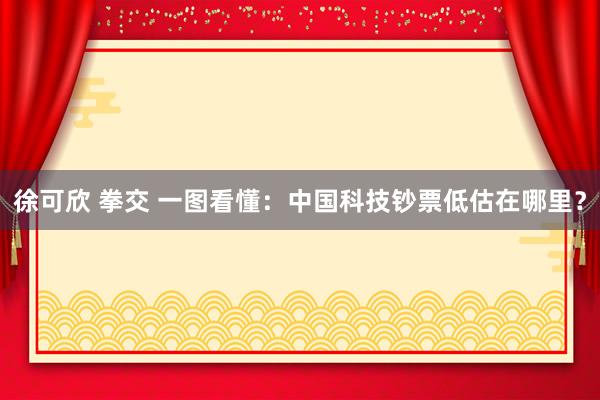 徐可欣 拳交 一图看懂：中国科技钞票低估在哪里？