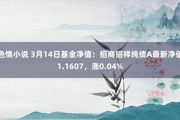 色情小说 3月14日基金净值：招商招祥纯债A最新净值1.1607，涨0.04%