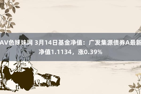 AV色妹妹网 3月14日基金净值：广发集源债券A最新净值1.1134，涨0.39%