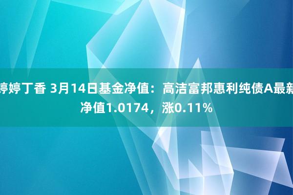 婷婷丁香 3月14日基金净值：高洁富邦惠利纯债A最新净值1.0174，涨0.11%