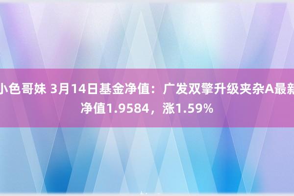 小色哥妹 3月14日基金净值：广发双擎升级夹杂A最新净值1.9584，涨1.59%