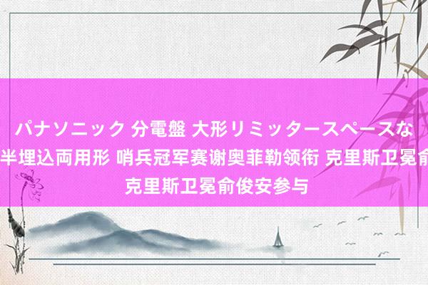 パナソニック 分電盤 大形リミッタースペースなし 露出・半埋込両用形 哨兵冠军赛谢奥菲勒领衔 克里斯卫冕俞俊安参与