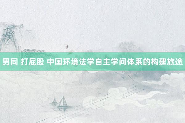 男同 打屁股 中国环境法学自主学问体系的构建旅途