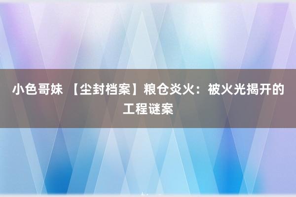 小色哥妹 【尘封档案】粮仓炎火：被火光揭开的工程谜案