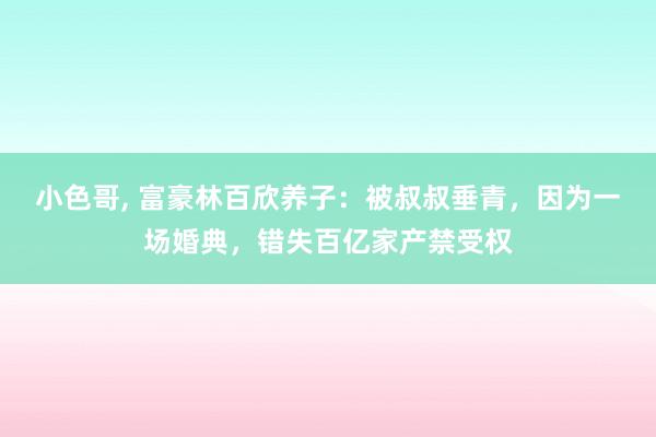 小色哥， 富豪林百欣养子：被叔叔垂青，因为一场婚典，错失百亿家产禁受权