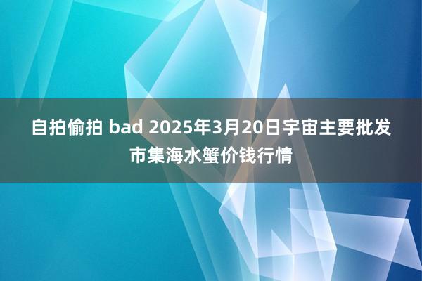 自拍偷拍 bad 2025年3月20日宇宙主要批发市集海水蟹价钱行情