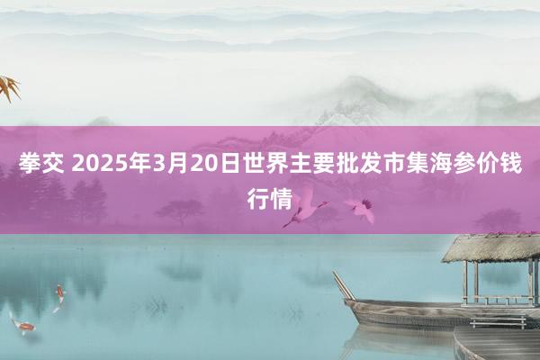 拳交 2025年3月20日世界主要批发市集海参价钱行情