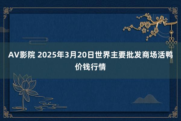 AV影院 2025年3月20日世界主要批发商场活鸭价钱行情
