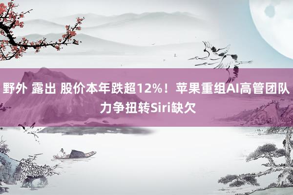 野外 露出 股价本年跌超12%！苹果重组AI高管团队 力争扭转Siri缺欠