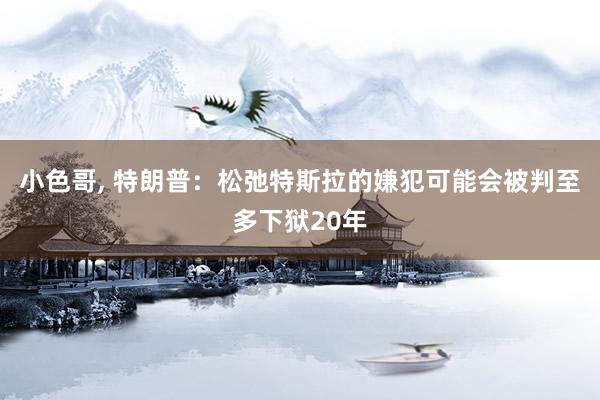 小色哥， 特朗普：松弛特斯拉的嫌犯可能会被判至多下狱20年