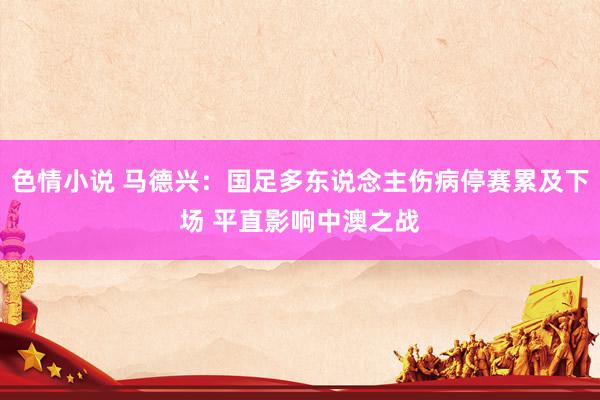 色情小说 马德兴：国足多东说念主伤病停赛累及下场 平直影响中澳之战