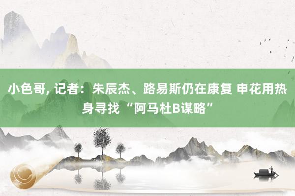 小色哥， 记者：朱辰杰、路易斯仍在康复 申花用热身寻找 “阿马杜B谋略”