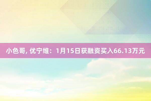 小色哥， 优宁维：1月15日获融资买入66.13万元