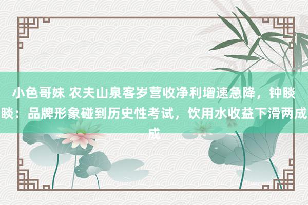 小色哥妹 农夫山泉客岁营收净利增速急降，钟睒睒：品牌形象碰到历史性考试，饮用水收益下滑两成