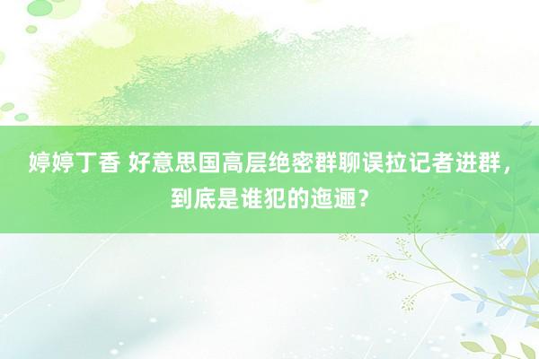 婷婷丁香 好意思国高层绝密群聊误拉记者进群，到底是谁犯的迤逦？