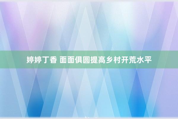 婷婷丁香 面面俱圆提高乡村开荒水平