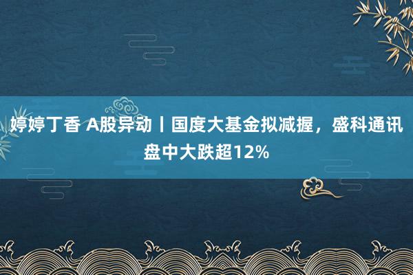 婷婷丁香 A股异动丨国度大基金拟减握，盛科通讯盘中大跌超12%