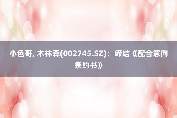 小色哥， 木林森(002745.SZ)：缔结《配合意向条约书》