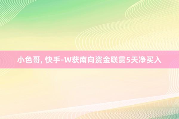 小色哥， 快手-W获南向资金联贯5天净买入