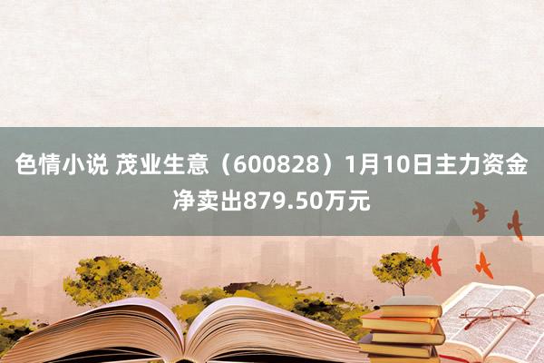 色情小说 茂业生意（600828）1月10日主力资金净卖出879.50万元
