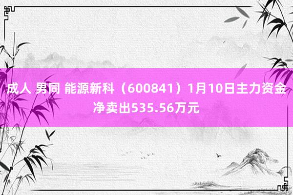 成人 男同 能源新科（600841）1月10日主力资金净卖出535.56万元