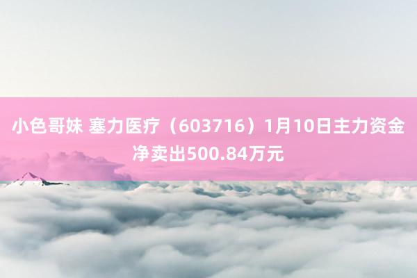 小色哥妹 塞力医疗（603716）1月10日主力资金净卖出500.84万元