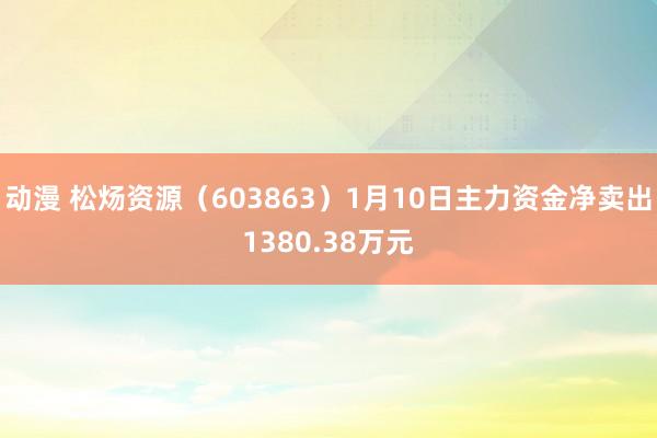 动漫 松炀资源（603863）1月10日主力资金净卖出1380.38万元