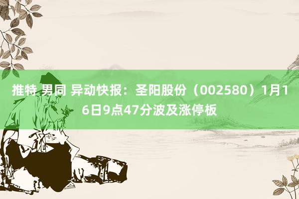 推特 男同 异动快报：圣阳股份（002580）1月16日9点47分波及涨停板